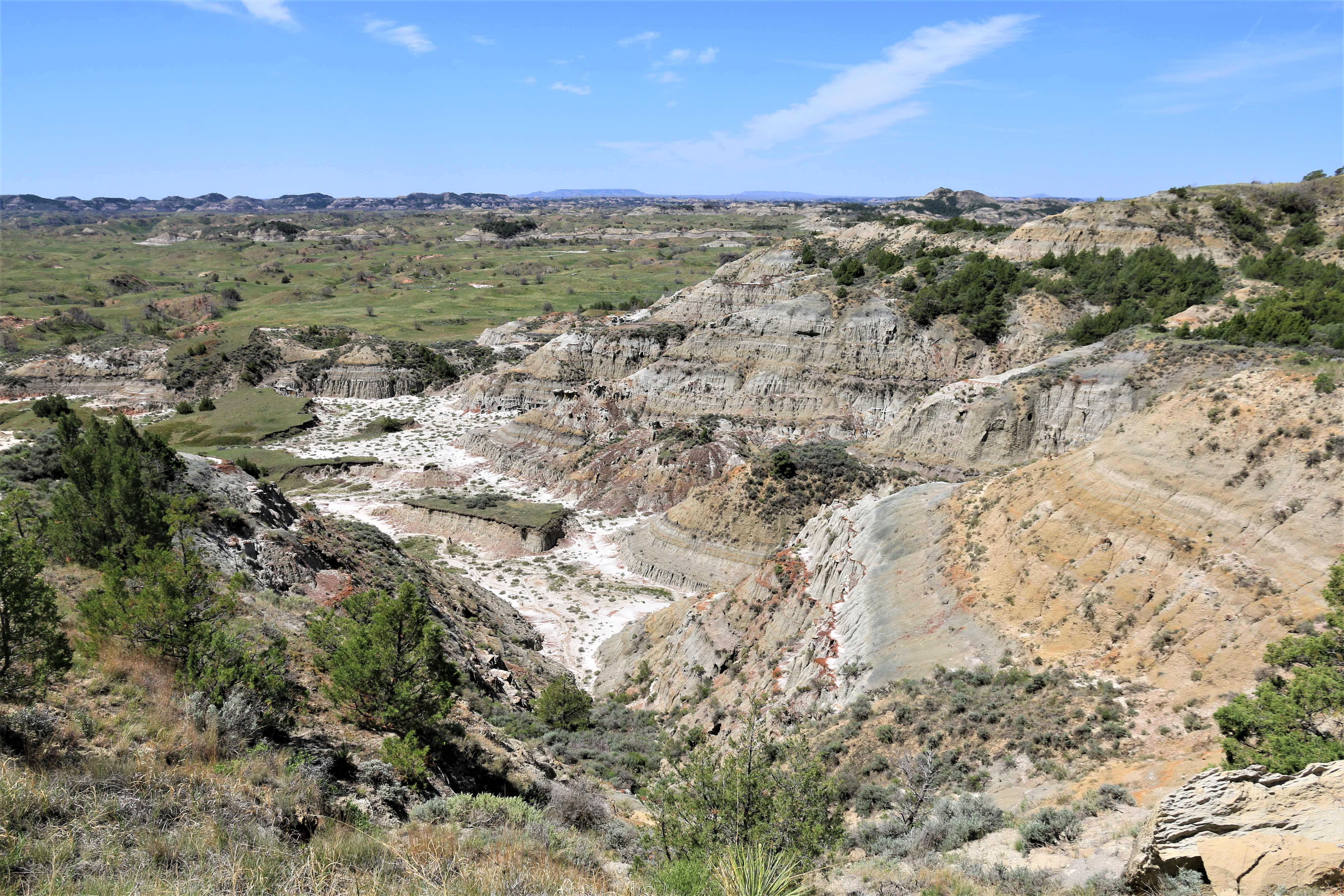 Theodore Roosevelt NP